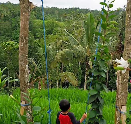 Padi Bali Jatiluwih By Manara *