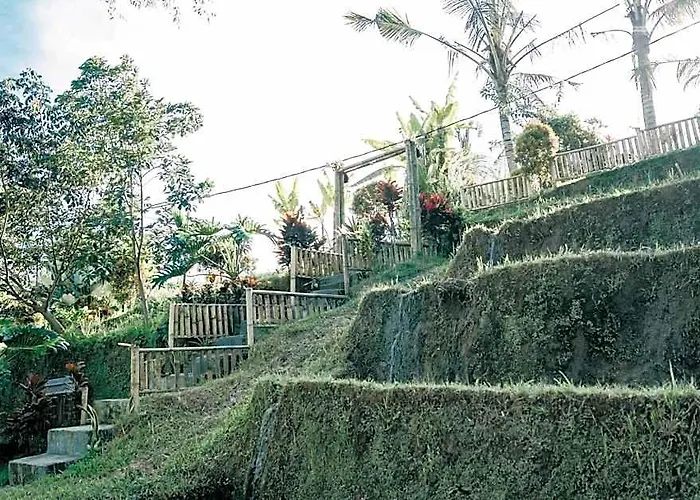 Padi Bali Jatiluwih By Manara Lodge