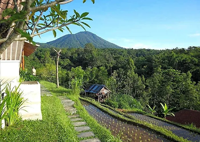 Padi Bali Jatiluwih By Manara * アンスリ