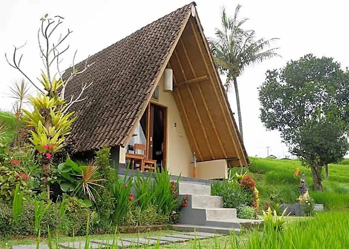 Padi Bali Jatiluwih By Manara * アンスリ