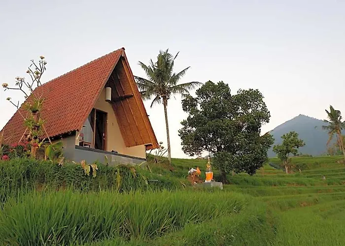 Padi Bali Jatiluwih By Manara Lodge *
