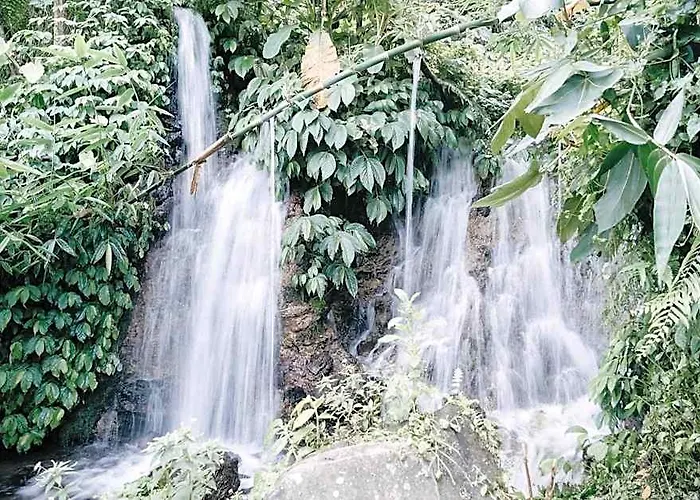 ロッジ Padi Bali Jatiluwih By Manara *