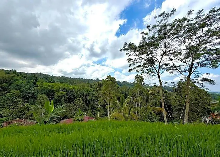 Lodge Padi Bali Jatiluwih By Manara *