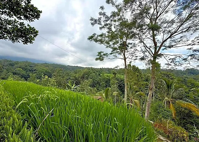 ロッジ Padi Bali Jatiluwih By Manara アンスリ